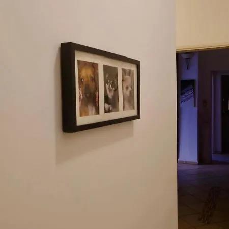 My In Buda 公寓 布达佩斯